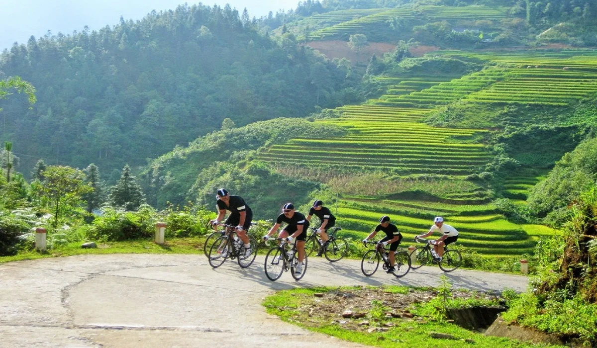 Cycling Tours Around